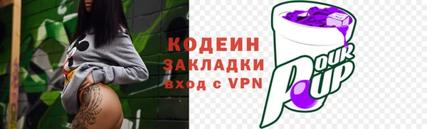 хмурый Карпинск