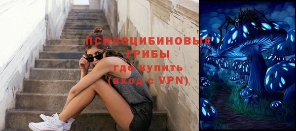 гашик Киренск