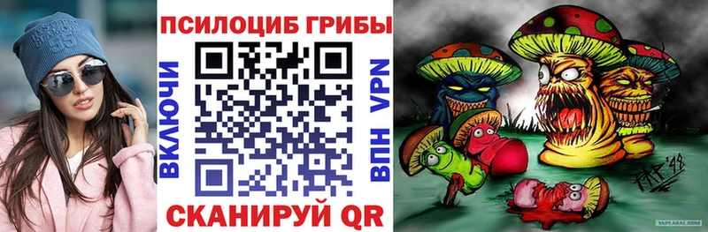 Галлюциногенные грибы прущие грибы  Купить где  Чапаевск 