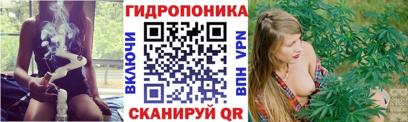 Шишки марихуана MAZAR  Купить  Чапаевск 
